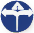 Tirth Infotech logo